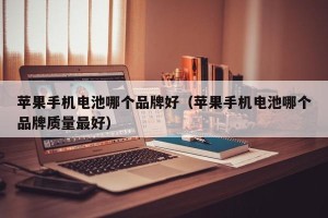 苹果手机电池哪个品牌好（苹果手机电池哪个品牌质量最好）