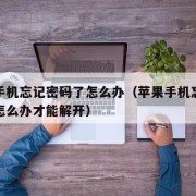 苹果手机忘记密码了怎么办（苹果手机忘记密码了怎么办才能解开）