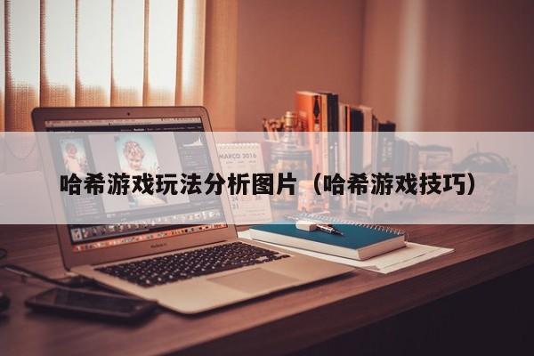 哈希游戏玩法分析图片(哈希游戏技巧)