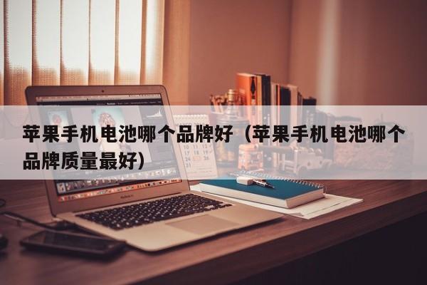 苹果手机电池哪个品牌好(苹果手机电池哪个品牌质量最好)