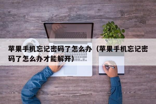 苹果手机忘记密码了怎么办(苹果手机忘记密码了怎么办才能解开)